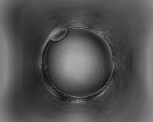 X0000088490056200705221435