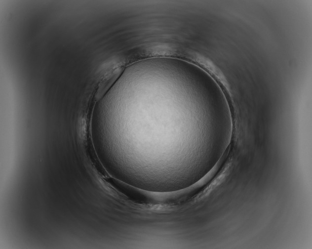 X0000088490057200705221435