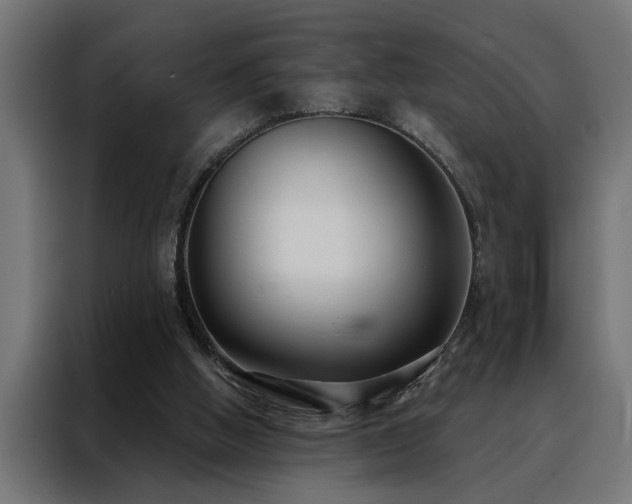 X0000088490058200705221436
