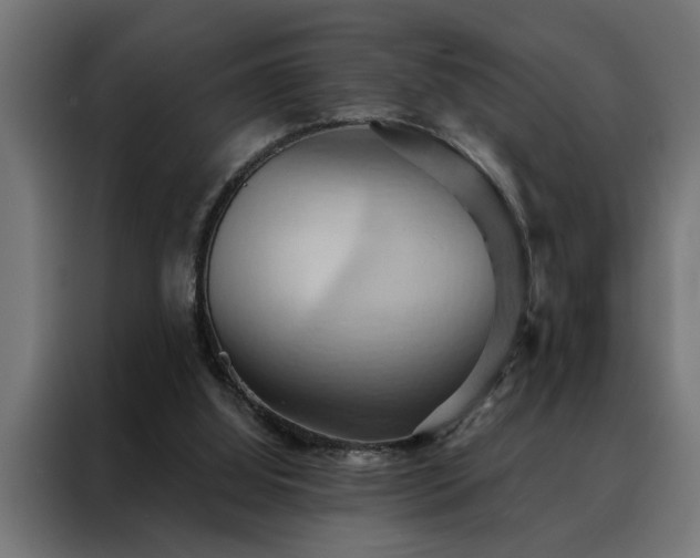 X0000088490060200705221436
