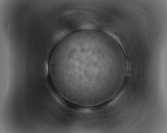 X0000088490061200705221436