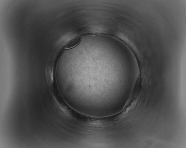 X0000088490062200705221436