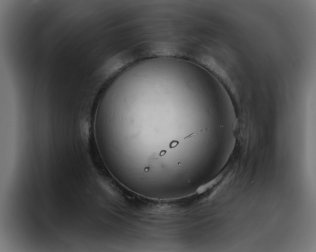 X0000088490063200705221436