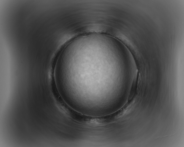 X0000088490064200705221436