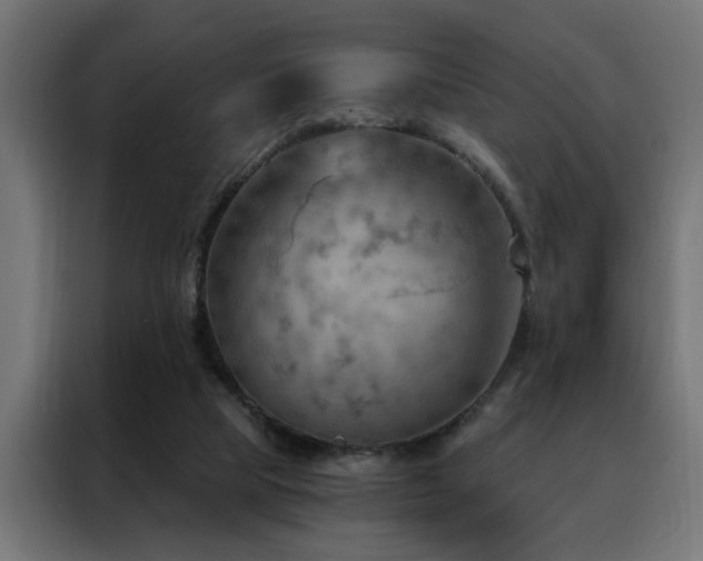 X0000088490065200705221436