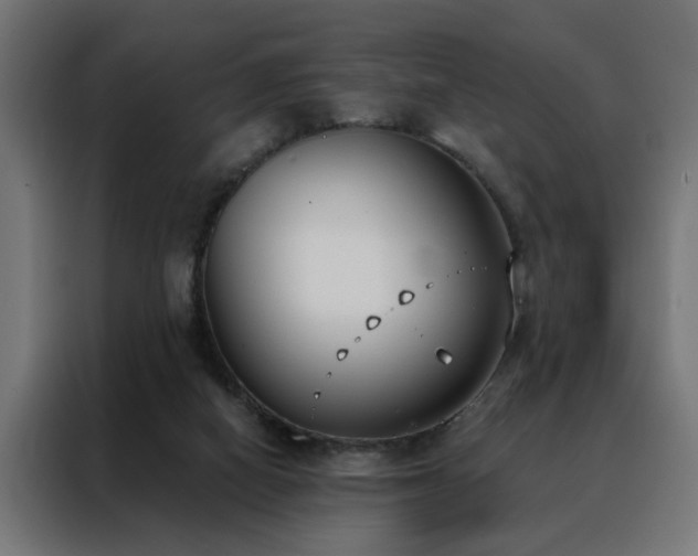 X0000088490066200705221436