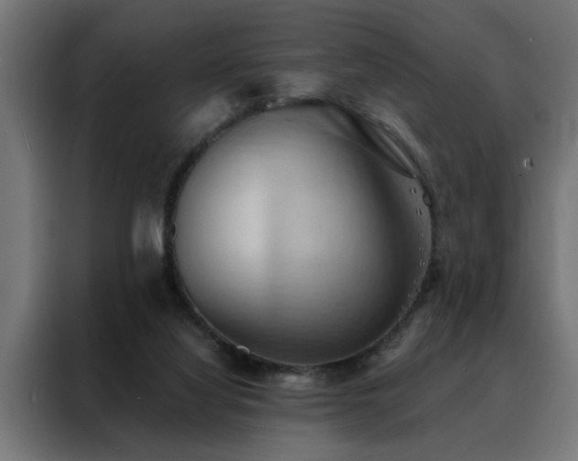 X0000088490068200705221436