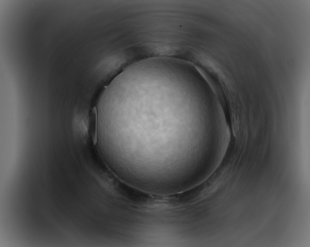 X0000088490072200705221436