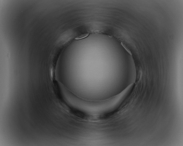 X0000088490076200705221436