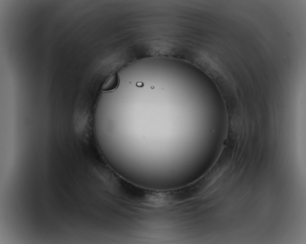 X0000088490079200705221436