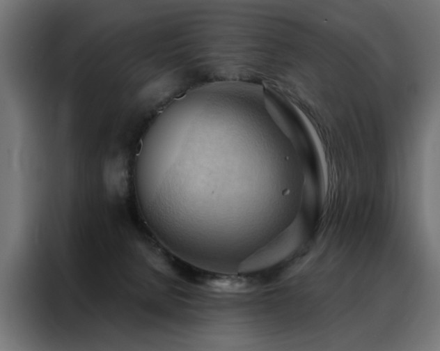 X0000088490080200705221436