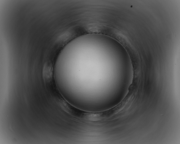 X0000088490081200705221436