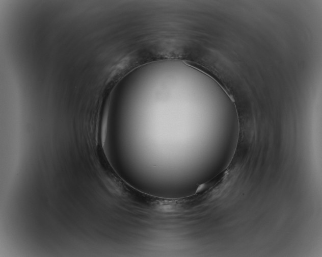 X0000088490088200705221436