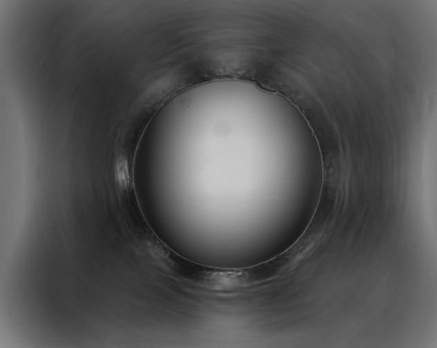 X0000088490089200705221436