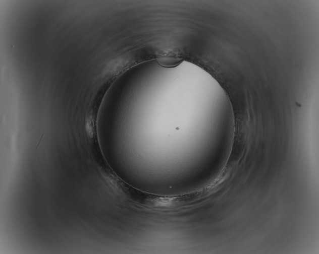 X0000088490090200705221436