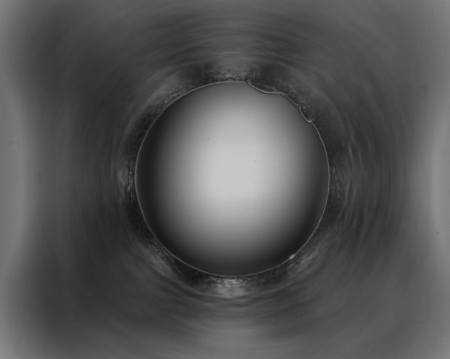 X0000088490091200705221436