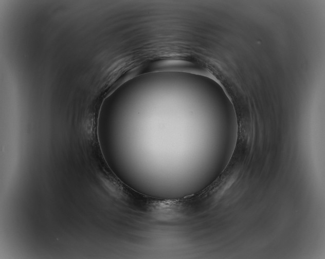 X0000088490092200705221436