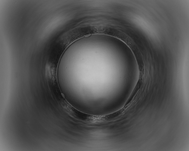 X0000088490093200705221436