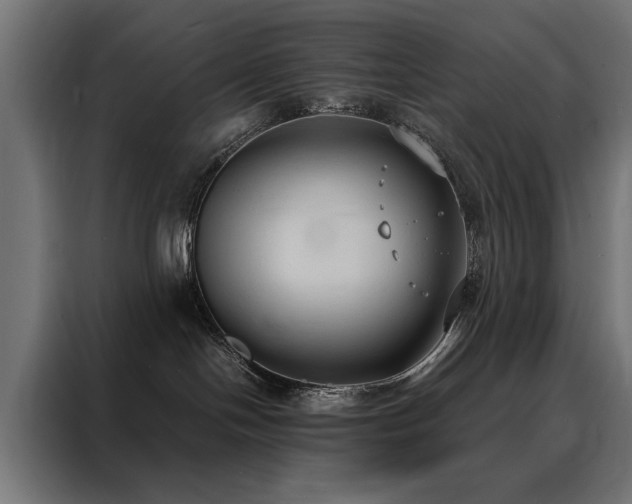 X0000088490094200705221436