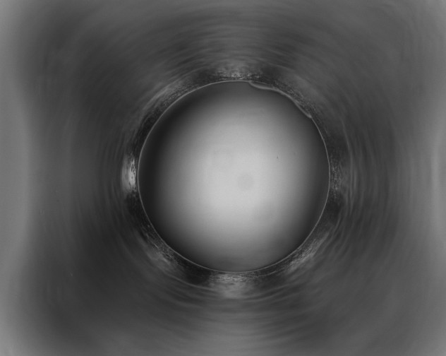 X0000088490095200705221436