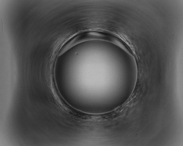 X0000088490097200705221435