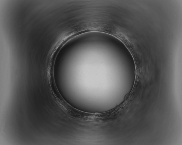 X0000088490098200705221435