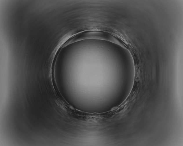 X0000088490099200705221435