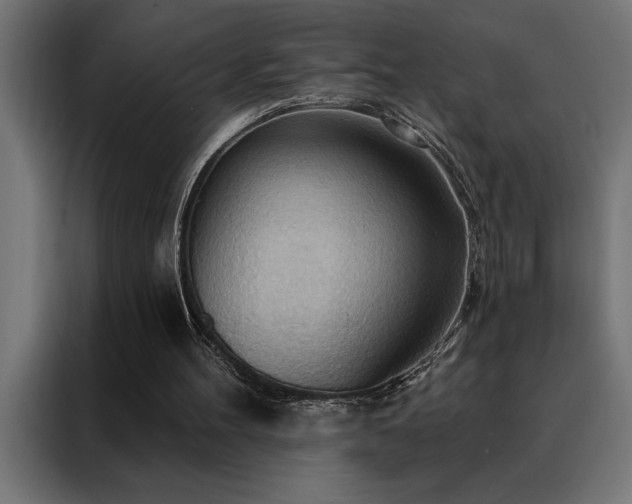 X0000088490100200705221435