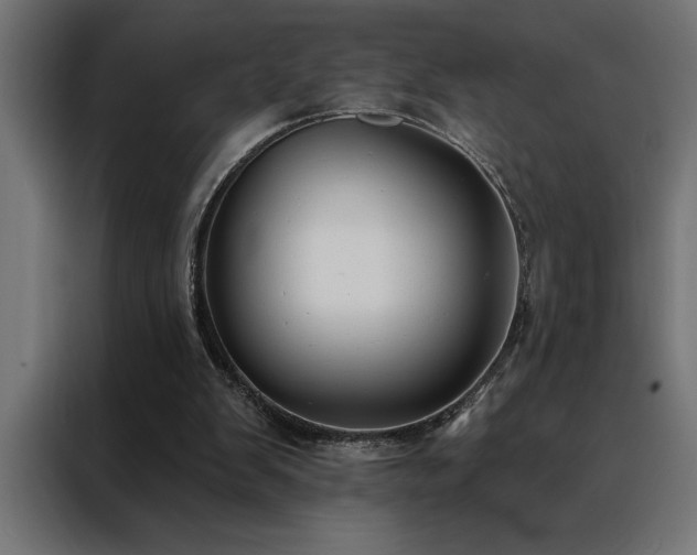 X0000088490103200705221435