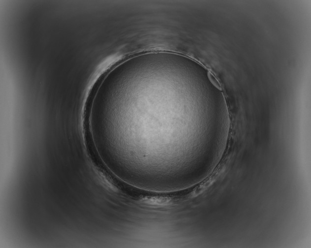 X0000088490104200705221435