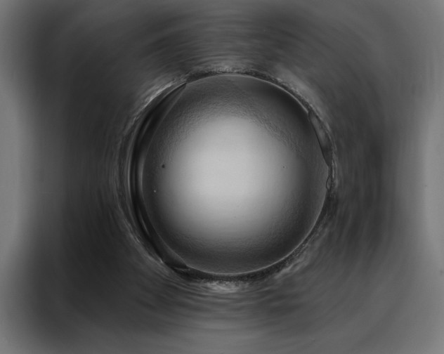 X0000088490105200705221435