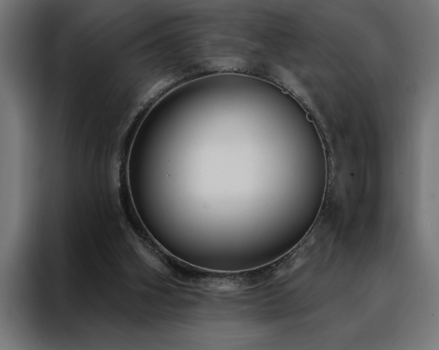 X0000088490106200705221435