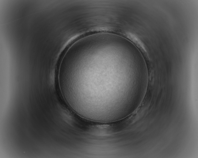 X0000088490108200705221435
