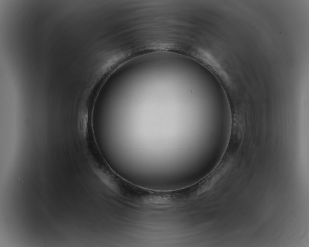 X0000088490110200705221435