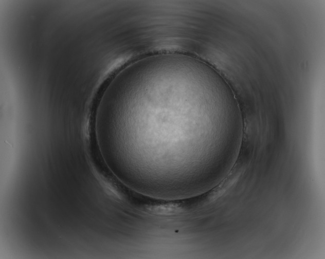 X0000088490112200705221435