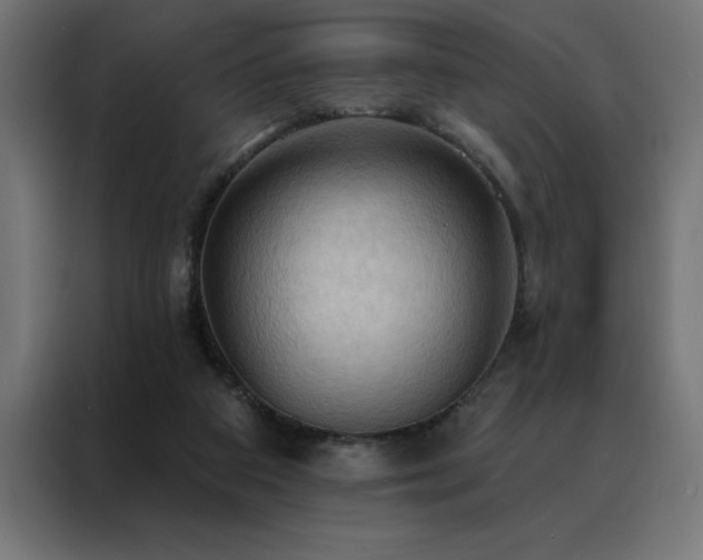 X0000088490113200705221435