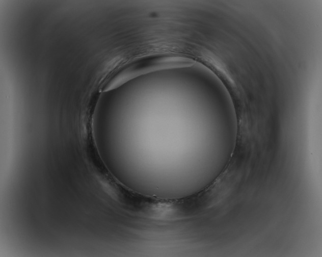 X0000088490114200705221435