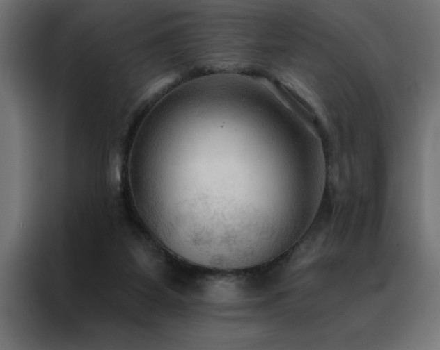 X0000088490115200705221435