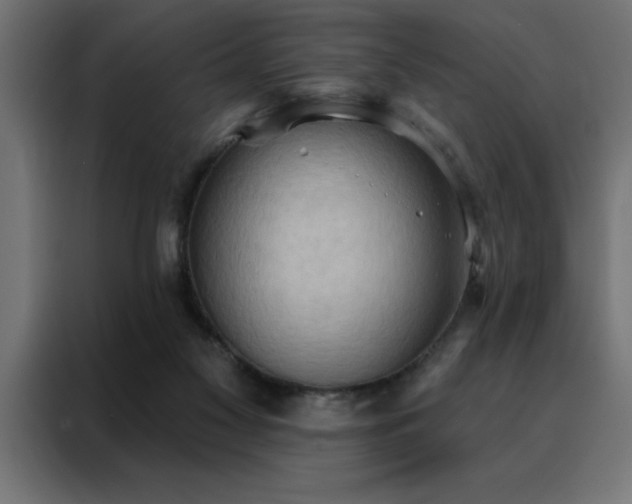 X0000088490117200705221435