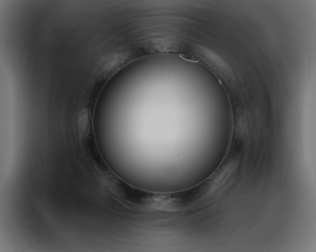 X0000088490121200705221435