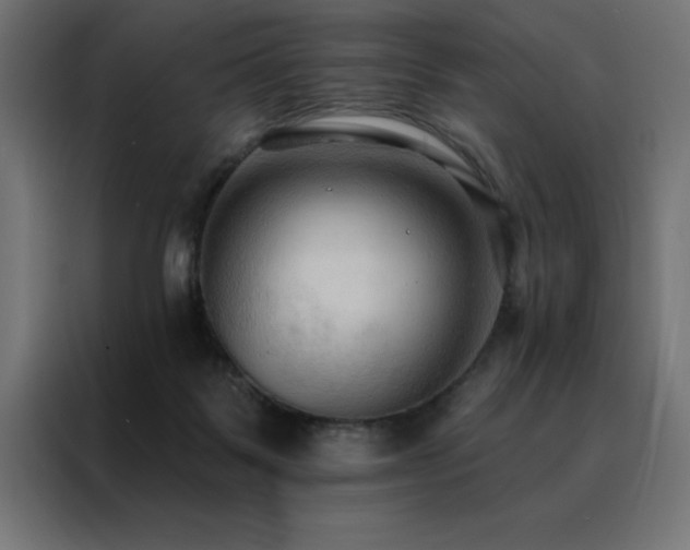 X0000088490123200705221435