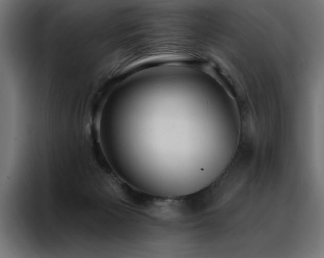 X0000088490125200705221435