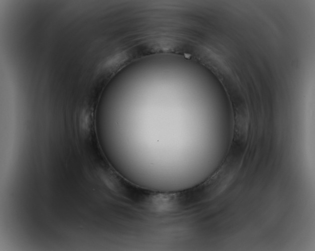 X0000088490126200705221435