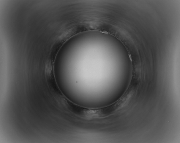 X0000088490129200705221435
