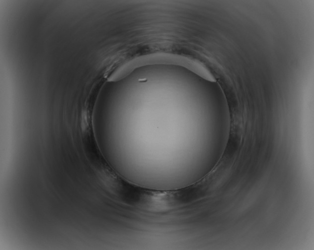 X0000088490130200705221435