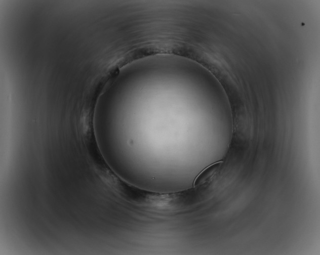 X0000088490131200705221435