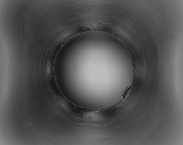 X0000088490132200705221435