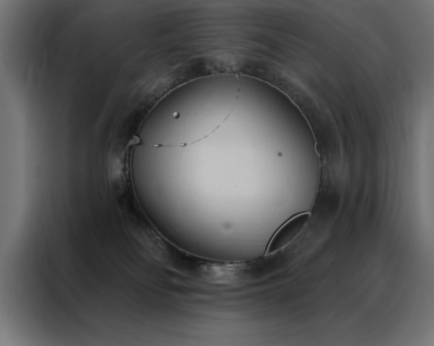 X0000088490134200705221435