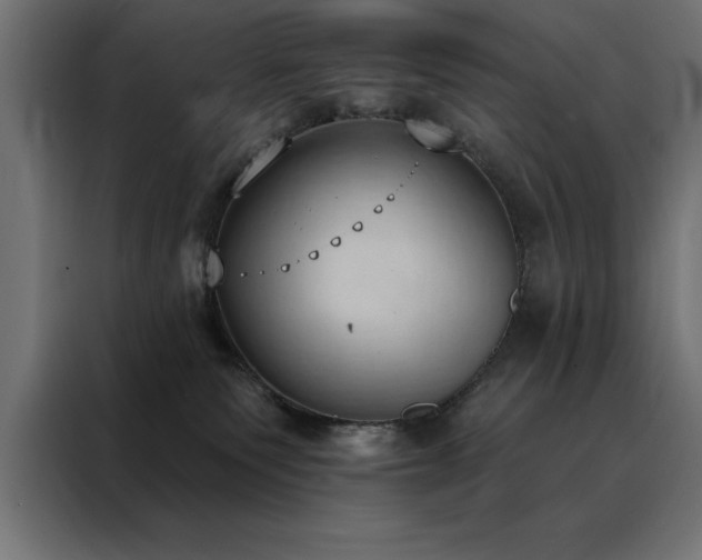 X0000088490135200705221435