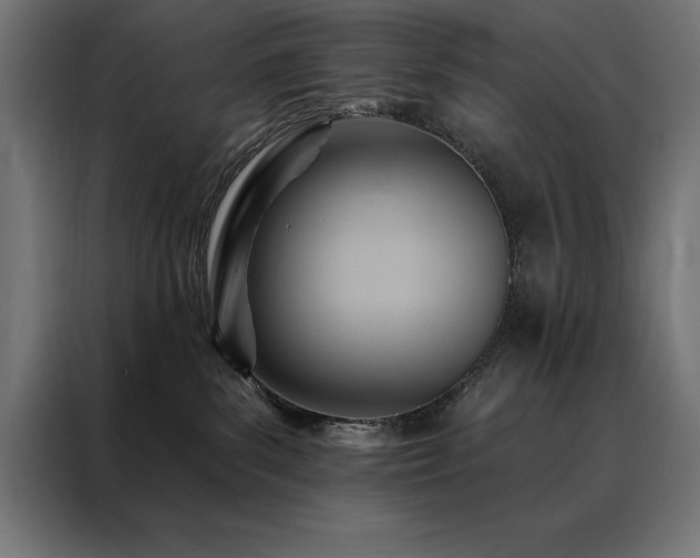 X0000088490139200705221435